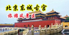 大鸡吧操小骚逼网中国北京-东城古宫旅游风景区